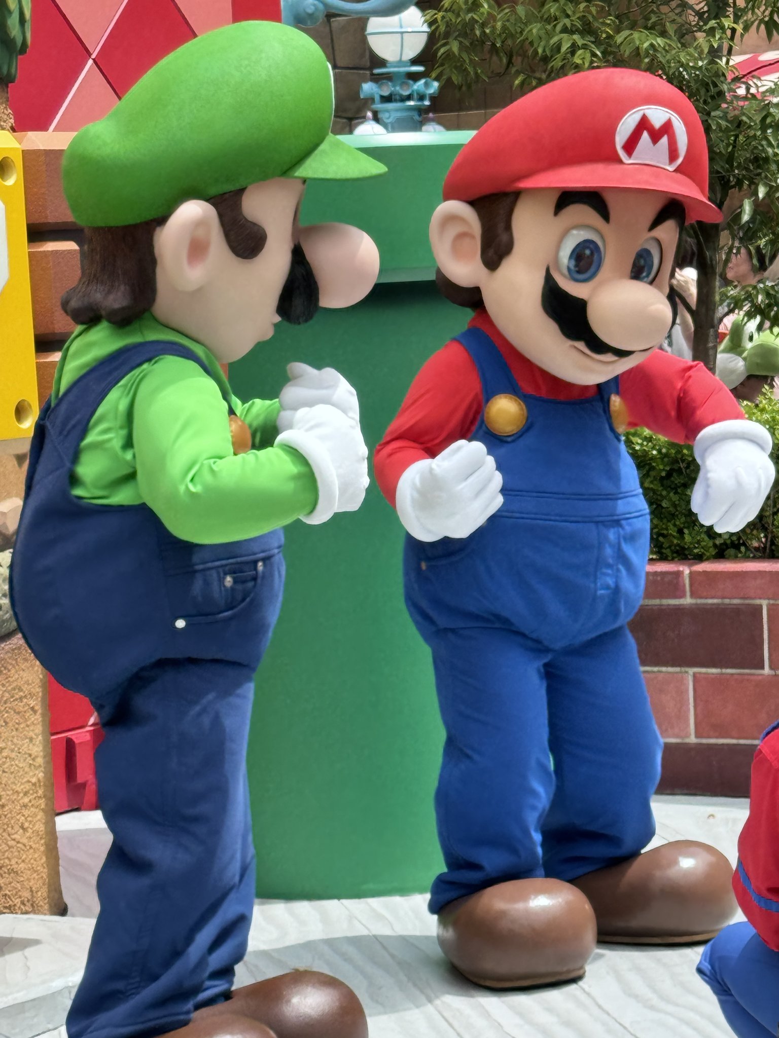 ルイージ・マリオ / マリオ・マリオ